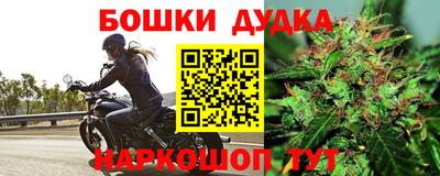дживик Кунгур
