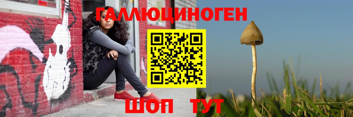 Галлюциногенные грибы мухоморы  Вход с VPN  Геленджик 